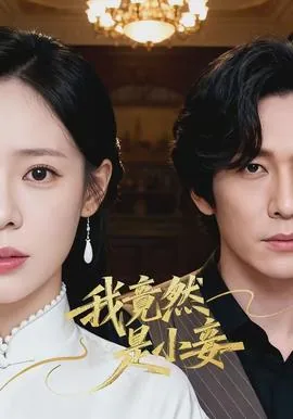 我竟然是小妾